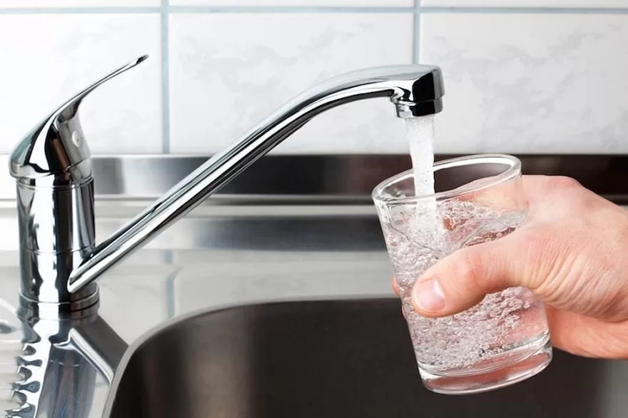 uống nước máy trực tiếp mà không qua quy trình lọc sẽ dẫn đến nhiễm khuẩn E.Coli