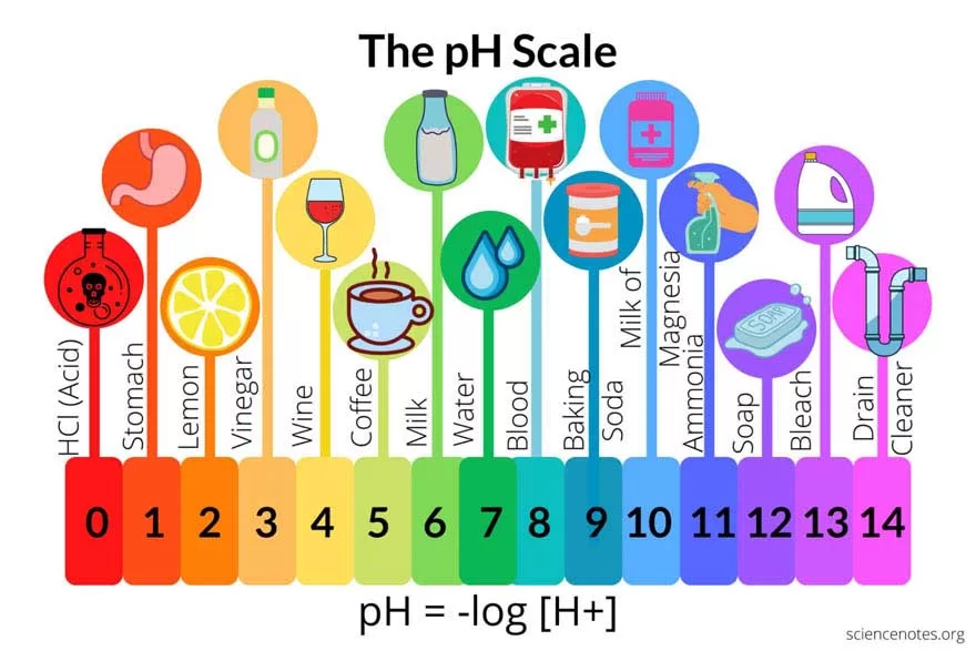độ pH của một số dung dịch