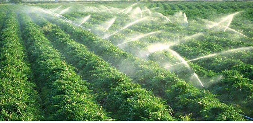 nước đóng vai trò quan trọng trong hệ thống tưới tiêu nông nghiệp