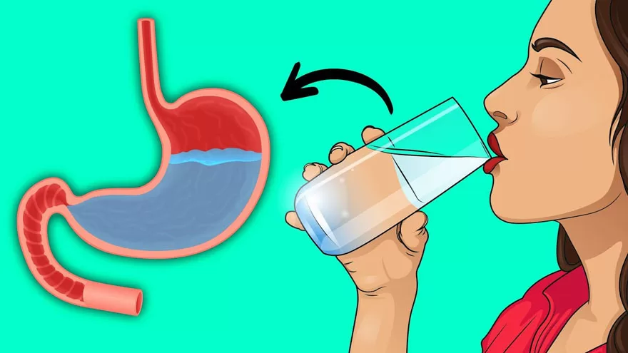 uống nước khoáng giúp đảm bảo chức năng hệ tiêu hóa